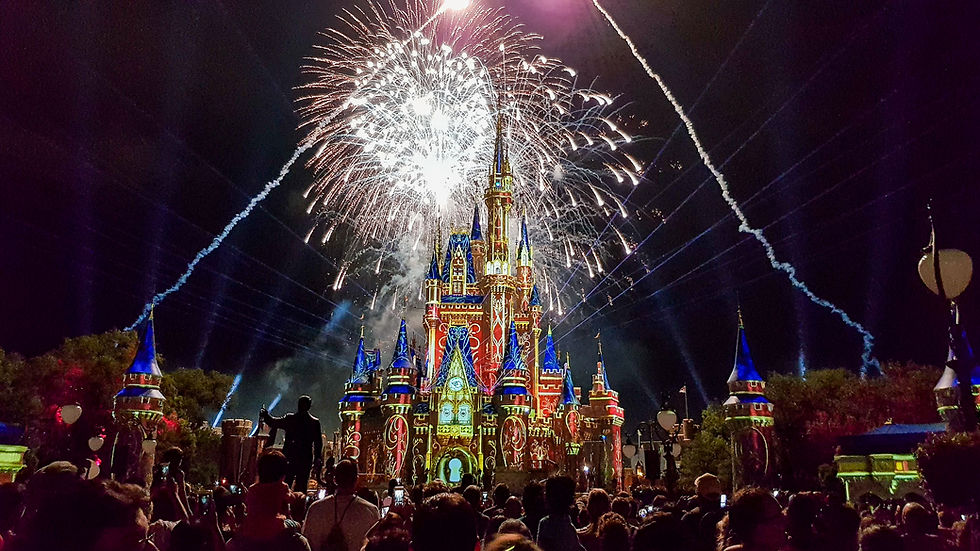 Happily Ever After Fireworks - Magic Kingdom
