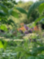 The user-friendly guide to happiness through a relationship with nature