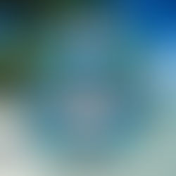 Gone to the Last Mile