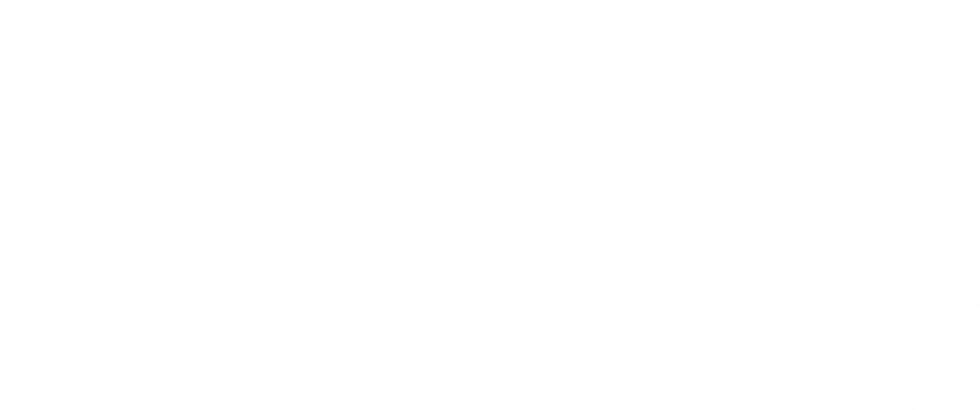 Untitled design.png