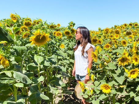 10 Ways to Curb Allergy Symptoms Naturally