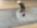 S__21594247_0.jpg
