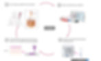 skin-bioprinting