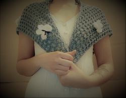 Butterflyshawl