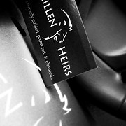 Logo de MillenHeirs