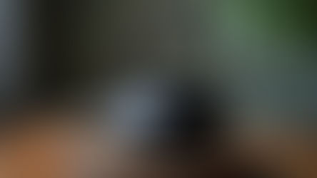 Kettle in your Shadow Work & Rituals