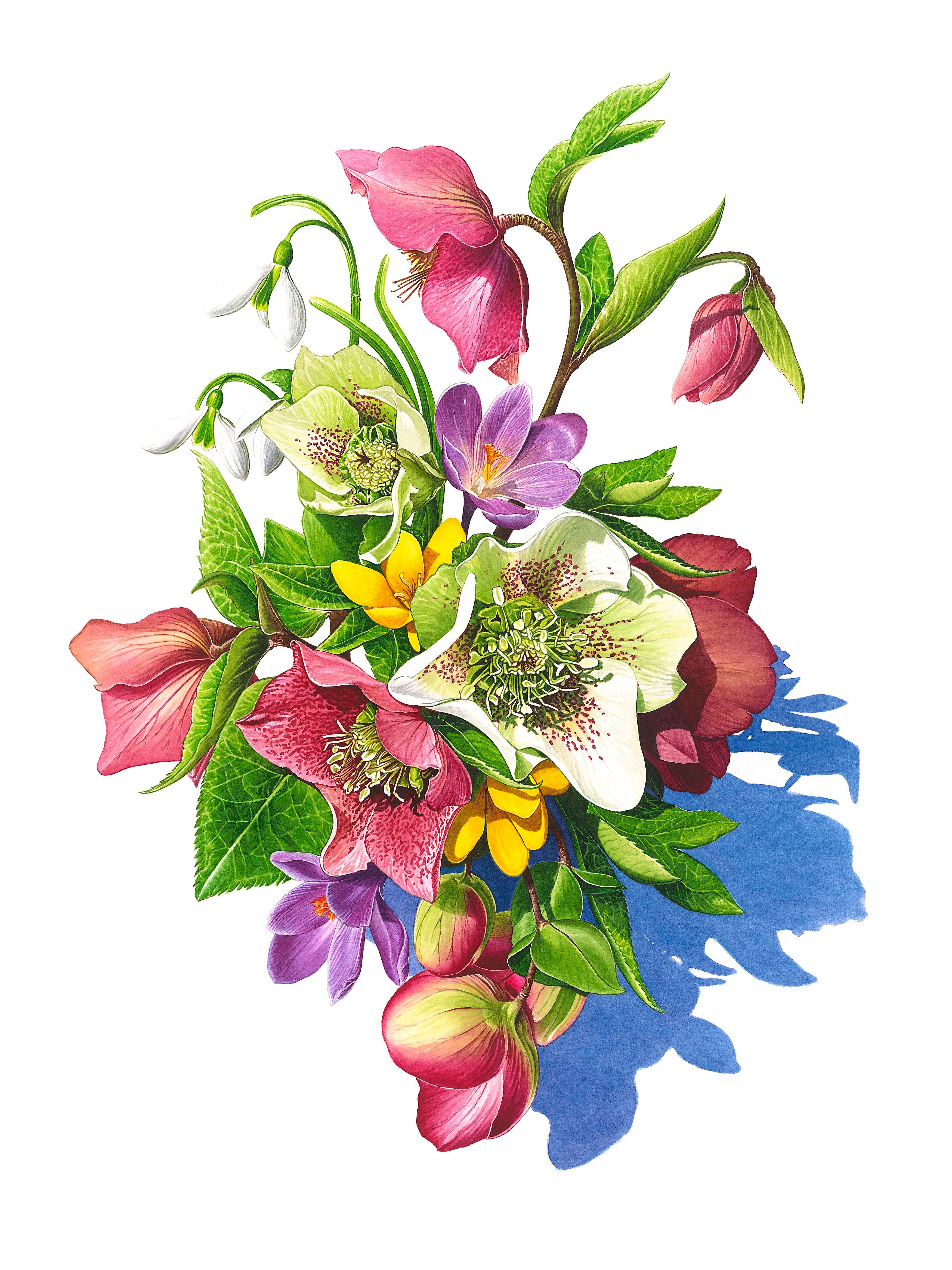 Kate Rolshoven "February"