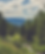 pexels-markus-spiske-175407_edited_edited.png