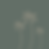Tonic Tan Co graphics more-02.png