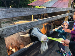 C3BHJPQuT4CqX4HPzeOJ1g