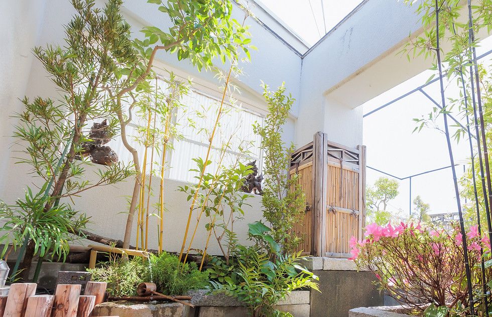 豊泉幼稚園-3097.jpg