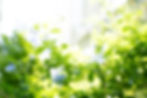RE_DSC08312_L.jpg
