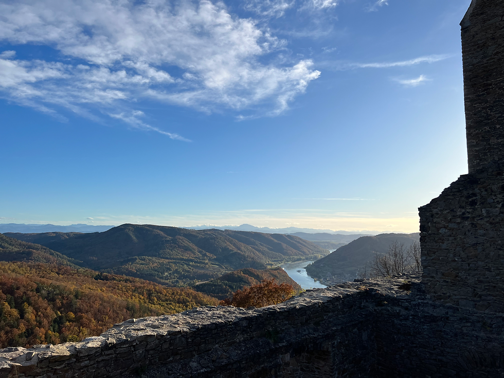 Aussicht der Burgruine Aggstein auf die Donau und die Wachau. Man sieht rotbraune Bäume, einen blauen Himmel mit nur wenigen, dünnen Wolken und einen Teil der Burgmauer.