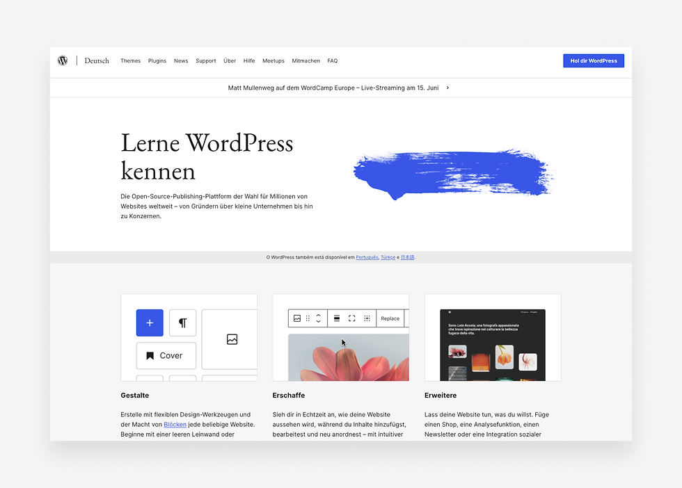 Homepage von Wordpress