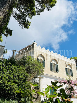 IMG_0575-2-1_edited_edited