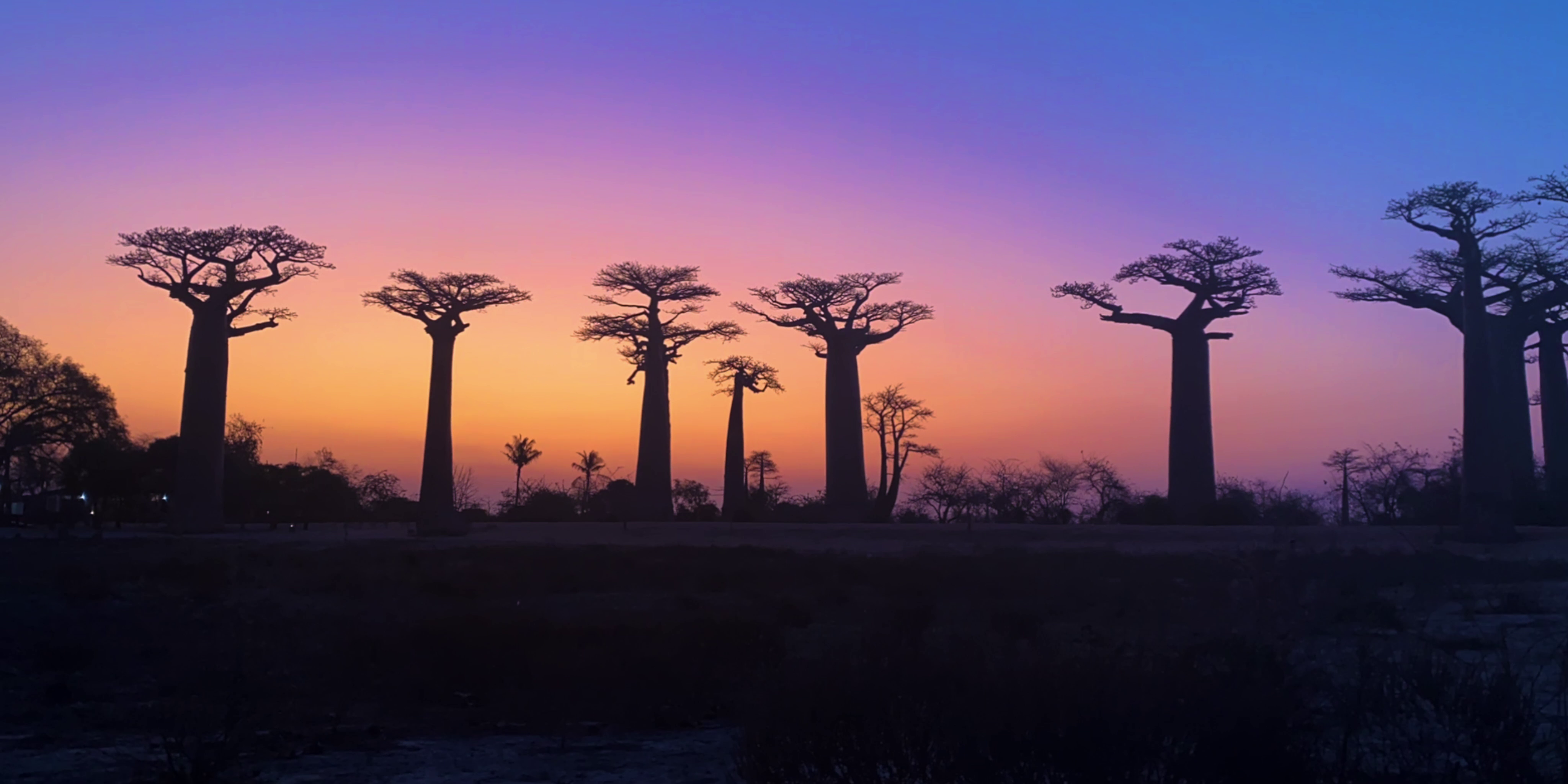 Madagascar