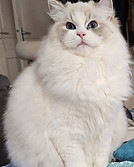 kiki site web_edited.jpg