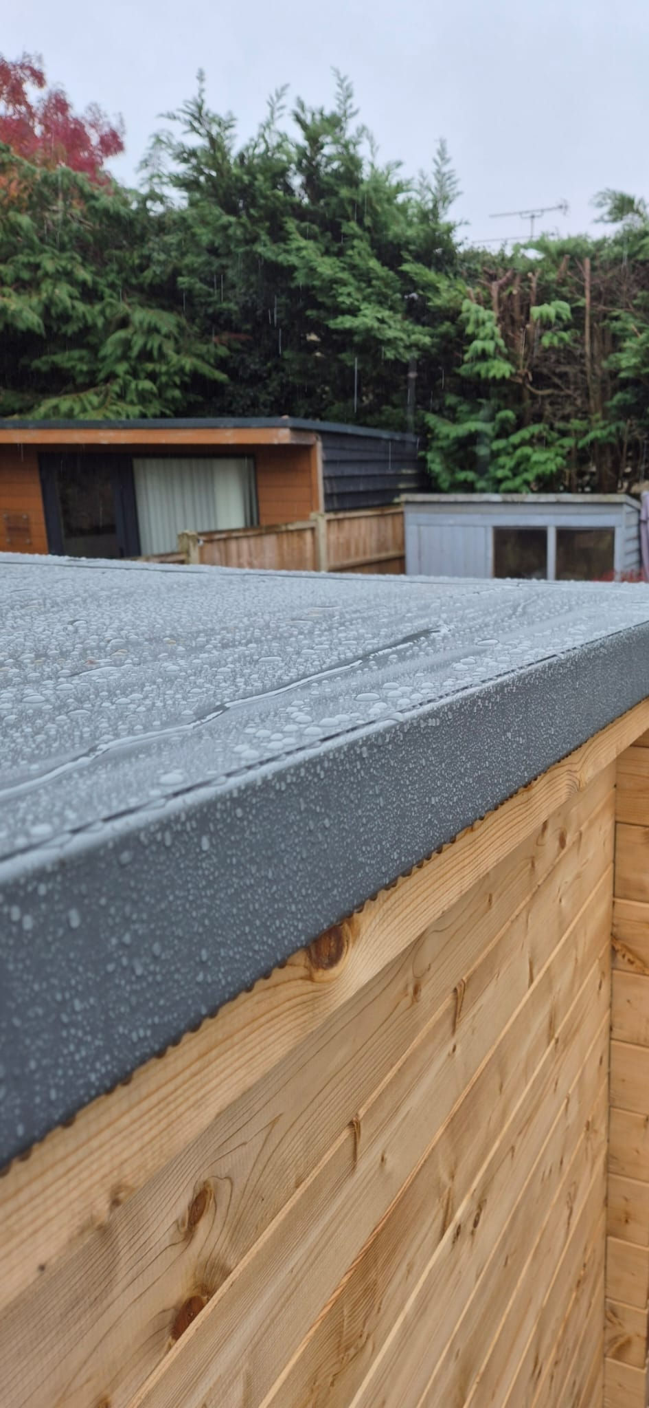 WhatsApp Image 2026-04-10 at 09.46.28 (1)