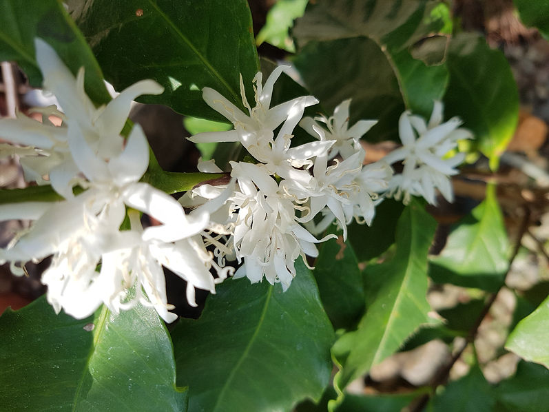 WhatsApp Image 2025-10-20 at 16.01.33_5fd9c975.jpg