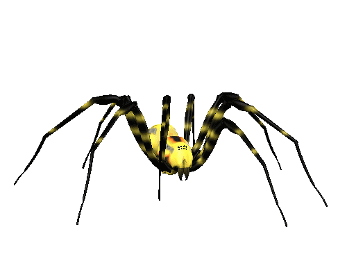 BountifulShrillAnemonecrab-small.gif