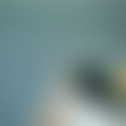 painting, best time to paint, paint job