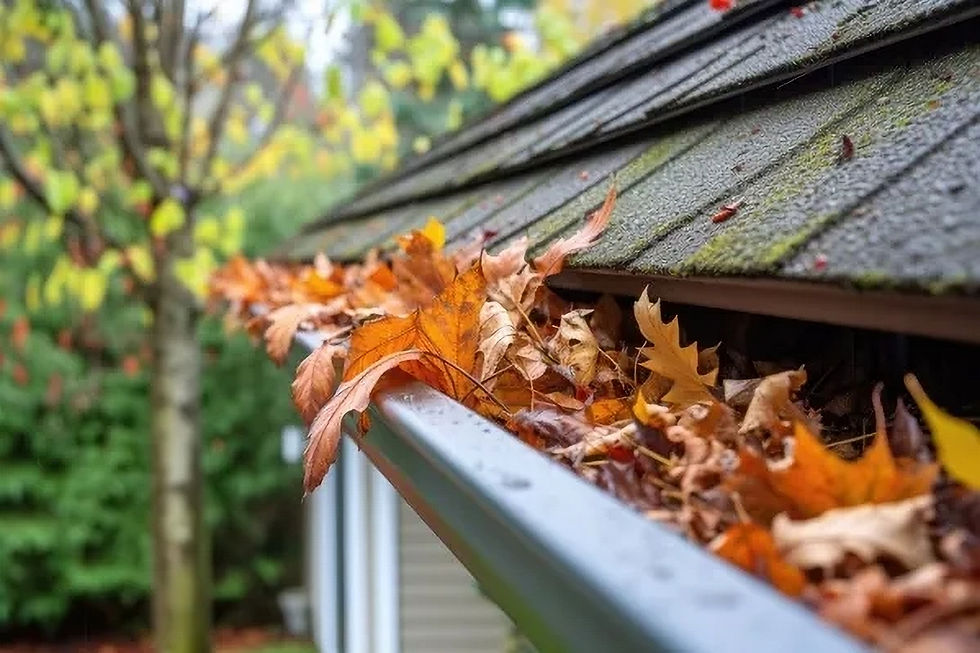 Pittsburgh Fall Leaves & Debris Impact on Gutters