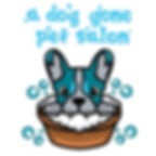 456332182_1000410945206872_7747842420618521527_n.jpg__nc_cat=100&ccb=1-7&_nc_sid=6ee11a&_n