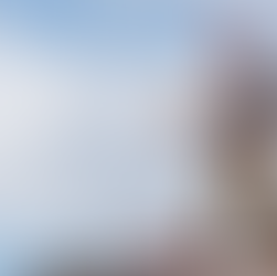 shingle, shingle roofing, shingles on roof, shingle option, roofing, roofer, roofing contractor, craig gouker roofing