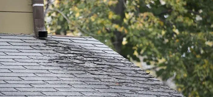 Roof Age & Wear