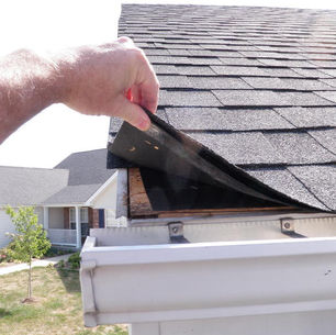 shingle, shingle roofing, shingles on roof, shingle option, roofing, roofer, roofing contractor, craig gouker roofing