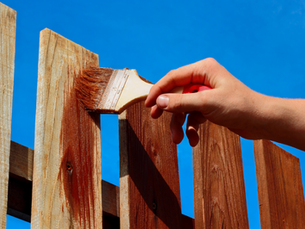 Maximizing Curb Appeal: Choosing the Right Stain Color or Finish