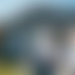 siding, siding expert, siding contractor, siding inspection