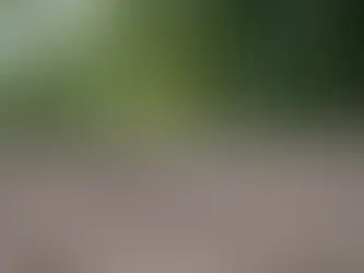 shingle, shingle roofing, shingles on roof, shingle option, roofing, roofer, roofing contractor, craig gouker roofing