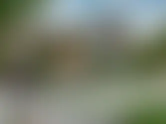 Choosing the Right Fence for Your Property: A Comprehensive Guide