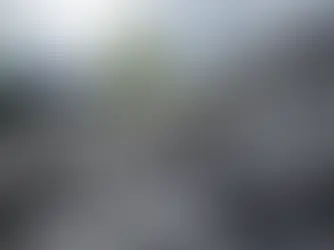 How Fast Should You Book Storm Damage Roof Repairs?