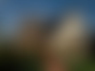 shingle, shingle roofing, shingles on roof, shingle option, roofing, roofer, roofing contractor, craig gouker roofing