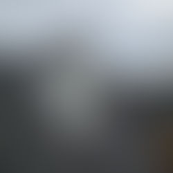 roof damage, water on roof, roof leak, roof issue, roofing issue, roofing, roofer, roof