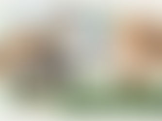 renovate, remodel, home renovation, home remodeling, spotless solution