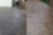 Stamped vs. Exposed Aggregate Concrete: Which Is Right for Your Driveway?