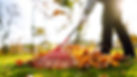 rake_leaves_460503846_1500x844.jpeg_impolicy=leadImage.jpeg