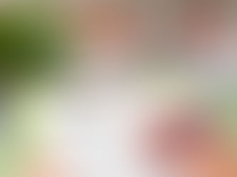 Budget-Friendly Fencing Solutions That Don’t Compromise on Quality