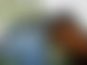 Professional siding installation crew working on Pittsburgh home exterior with quality materials and expert techniques