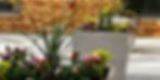 rs=w_2480,h_1240,cg_true.jpg