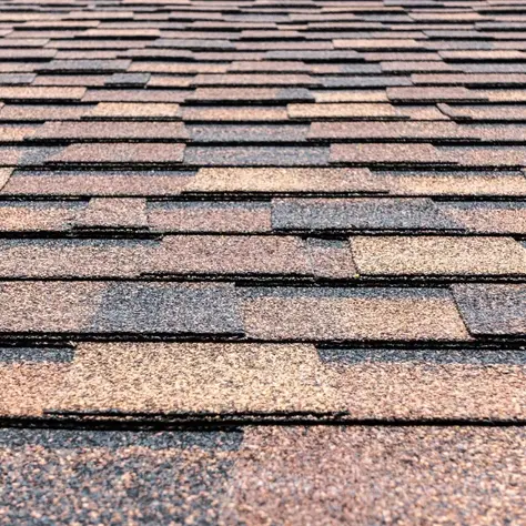 The Lifespan of Shingle Roofs: What Pittsburgh Homeowners Need to Know