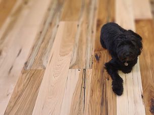 Hardwood Flooring Care for Pet Owners: Keeping Your Floors Beautiful