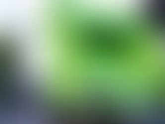 clutter cleaning, junk removal, junk hauler, junk hauling service, estate cleaning, garage cleanout, bulk trash pickup, appliance removal