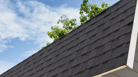 Side-by-side comparison of architectural shingles vs 3-tab shingles showing dimensional texture differences and material construction