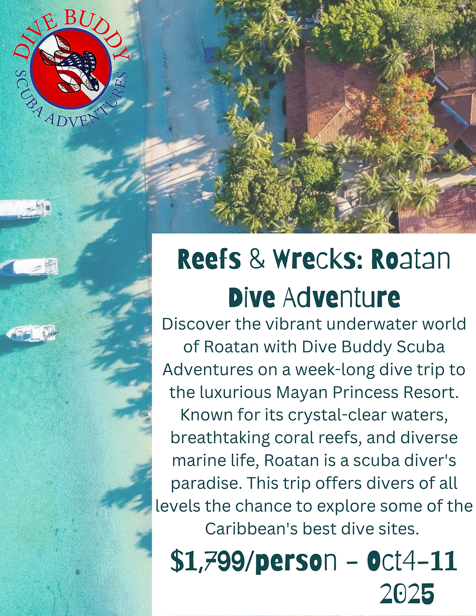 REEFS & WRECKS.png