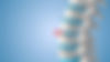 Herniated-Discs-1.jpg
