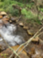 Land Reclamation Group - Westmoreland County PA